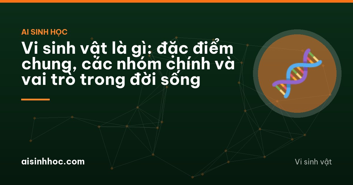 Vi sinh vật là gì: đặc điểm chung, các nhóm chính và vai trò trong đời sống
